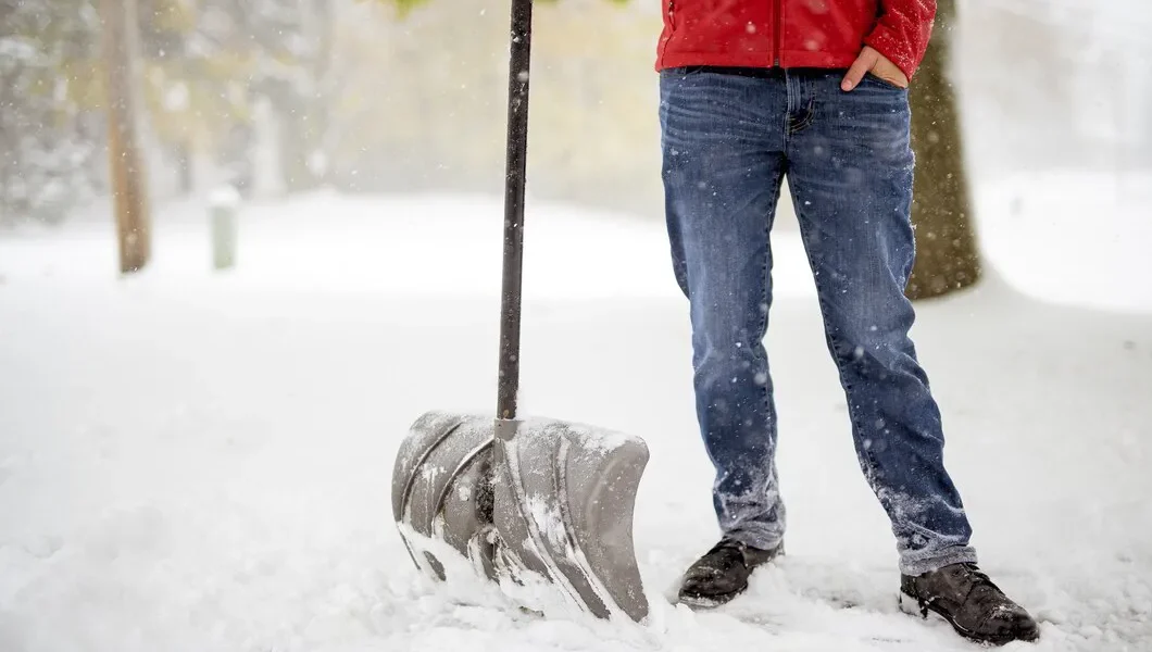 low-maintenance-landscaping-buffalo-ny