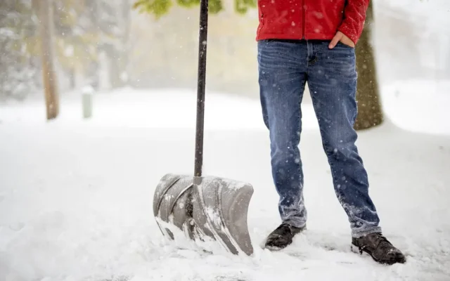 Why Professional Snow Removal Services Are Essential for a Safe and Accessible Winter