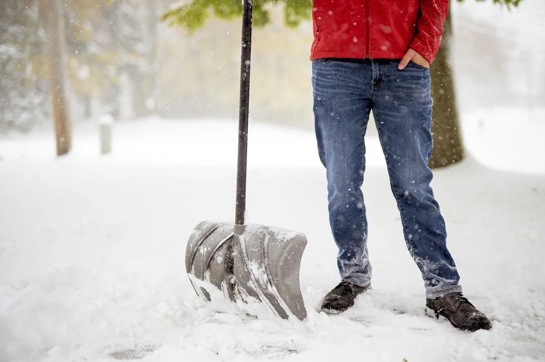 low-maintenance-landscaping-buffalo-ny