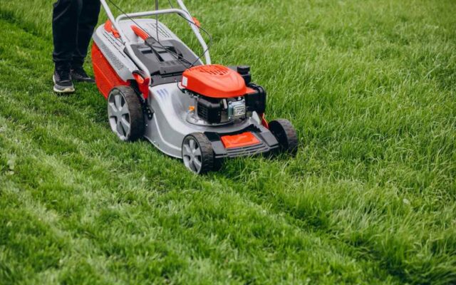 Elevate the Beauty of Your Lawn: Vital Care Services for a Vibrant Yard