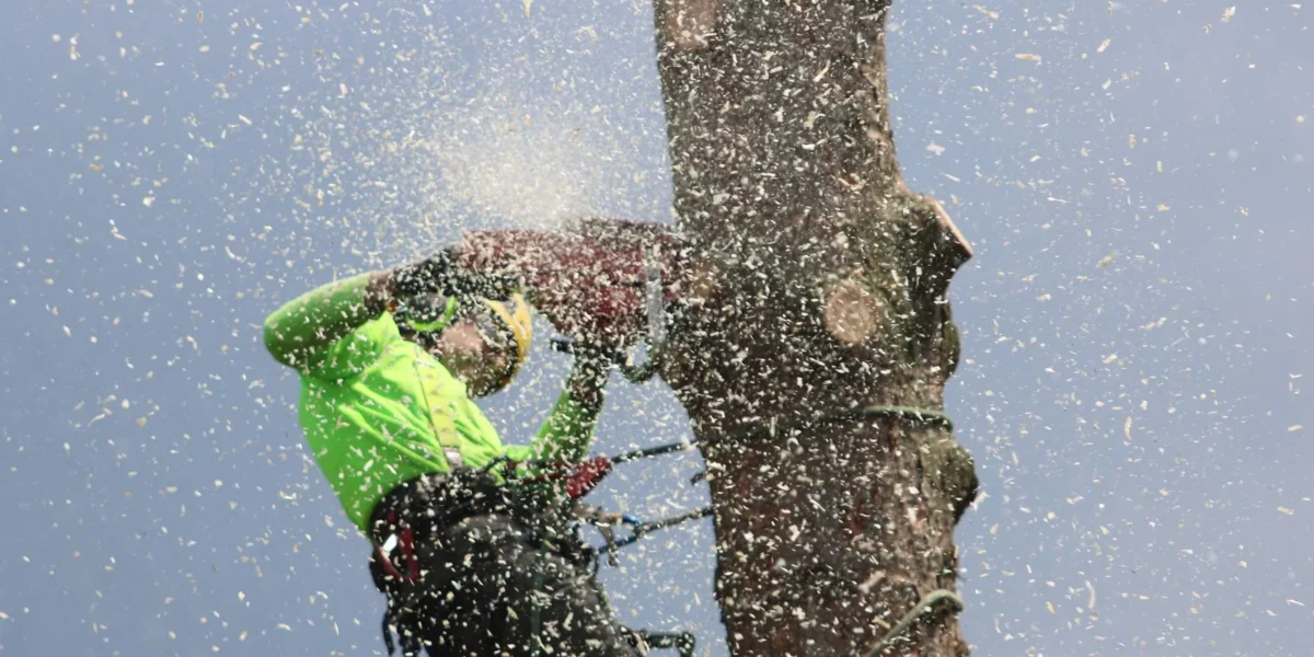 Emergency tree removal crew responding to storm damage in Buffalo, NY