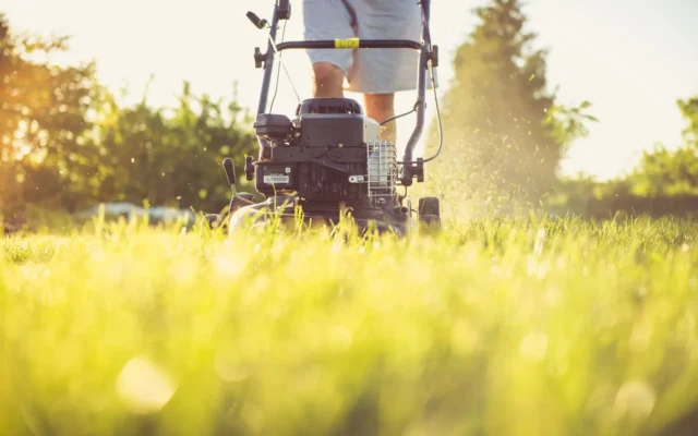 Best Time to Start Lawn Maintenance in Buffalo, NY