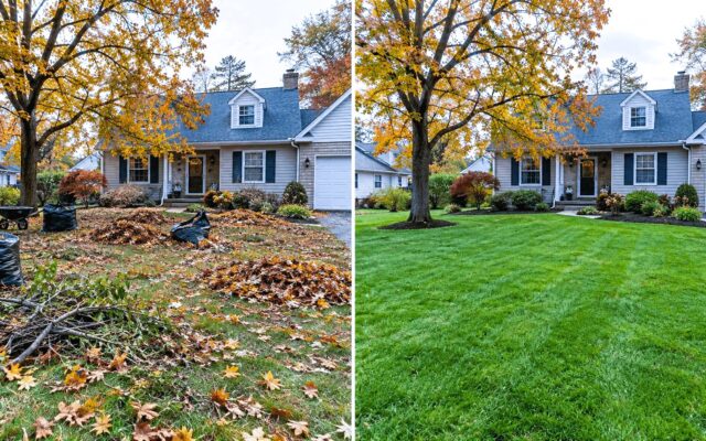 Leaf Removal Service in Buffalo, NY: 7 Reasons to Book Before Winter